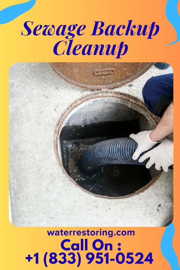 Sewage Backup Cleanup in Verdel, NE