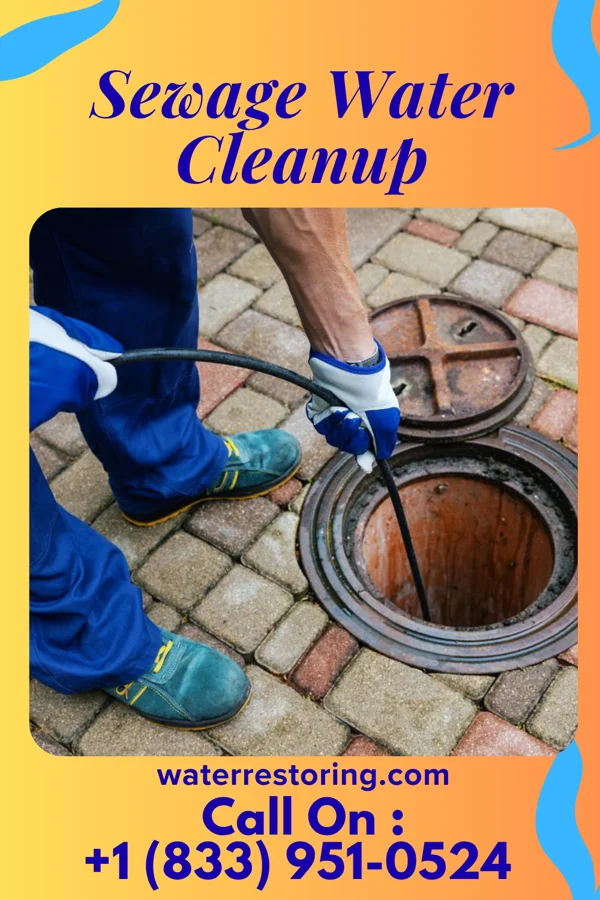 Sewage Water Cleanup in Verdel, NE
